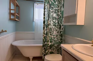 433 McKinley St, Chelsea, MI 48118 - Photo 47