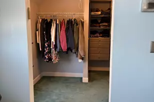 433 McKinley St, Chelsea, MI 48118 - Photo 57