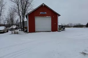 8260 M-66, Nashville, MI 49073 - Photo 3