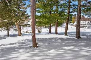 163 Pine Hill Lake Dr, Horton, MI 49246 - Photo 49