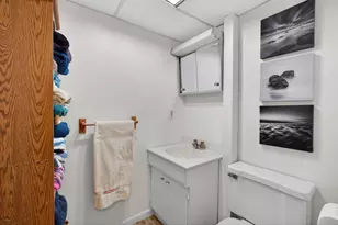 163 Pine Hill Lake Dr, Horton, MI 49246 - Photo 39