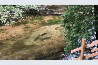 9629 N Kings Point, Irons, MI 49644 - Photo 39