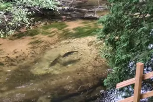 9629 N Kings Pt, Irons, MI 49644 - Photo 39