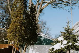 1119 Alger St SE, Grand Rapids, MI 49507 - Photo 43