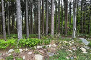 6835 W Deer Rd, Mears, MI 49436 - Photo 49