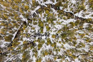 1789 S 58th Ave, Shelby, MI 49455 - Photo 35