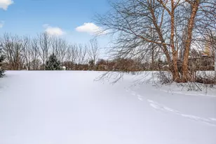 12241 Ives Meadow Ln NE, Cedar Springs, MI 49319 - Photo 47