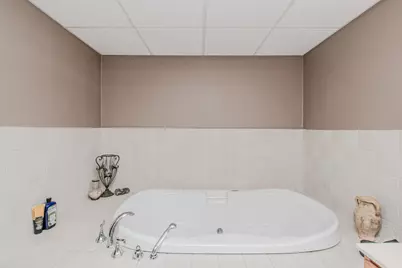 1782 Sycamore Court, Saline, MI 48176 - Photo 51