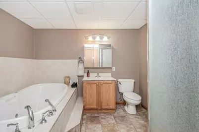 1782 Sycamore Court, Saline, MI 48176 - Photo 47