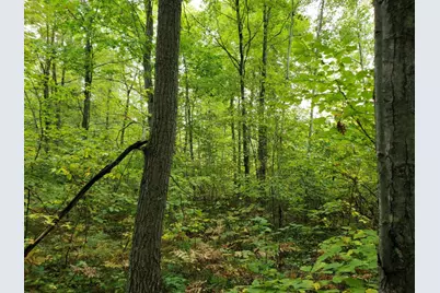 V/L Lakola Road, Leroy, MI 49655 - Photo 3