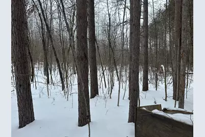 V/L Lakola Road, Leroy, MI 49655 - Photo 11