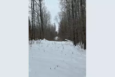 V/L Lakola Road, Leroy, MI 49655 - Photo 7