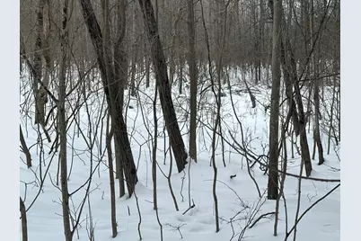 V/L Lakola Road, Leroy, MI 49655 - Photo 9