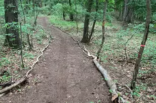 1847 Aberdeen St NE, Grand Rapids, MI 49505 - Photo 39