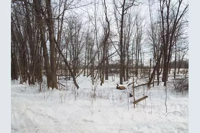 B Peacock Road, Leslie, MI 49251 - Photo 5