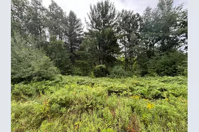 22475 4 Mile Road, Morley, MI 49336 - Photo 21