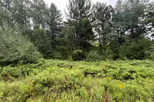 22475 4 Mile Rd, Morley, MI 49336 - Photo 21