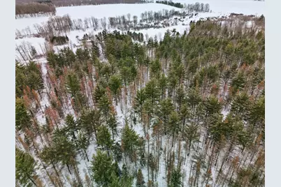 Vl 17 Mile Road, Leroy, MI 49655 - Photo 11