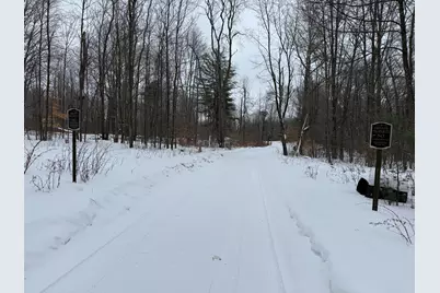 Vl 17 Mile Road, Leroy, MI 49655 - Photo 5