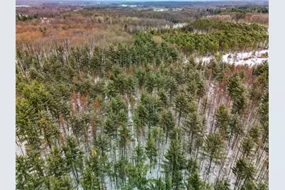 Vl 17 Mile Road, Leroy, MI 49655 - Photo 3