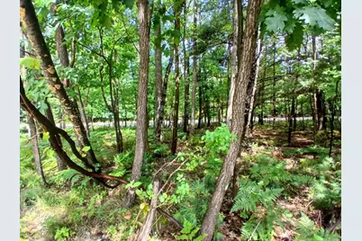 Range Street, Mears, MI 49436 - Photo 9