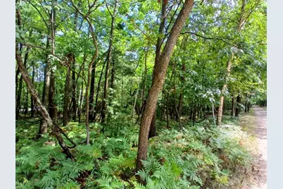 Range Street, Mears, MI 49436 - Photo 7