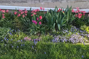 227 Eldred St, Battle Creek, MI 49015 - Photo 37