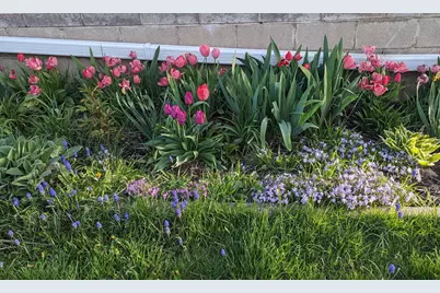 227 Eldred Street, Battle Creek, MI 49015 - Photo 35