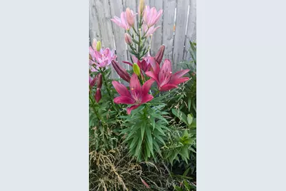 227 Eldred Street, Battle Creek, MI 49015 - Photo 35