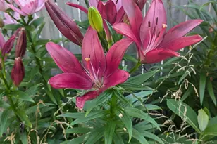 227 Eldred St, Battle Creek, MI 49015 - Photo 35