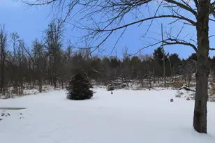 3481 Jefferson Rd, Ionia, MI 48846 - Photo 9