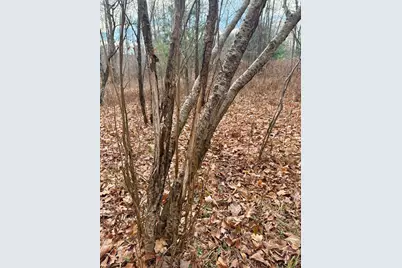 V/L 17 Mile Rd, Leroy, MI 49655 - Photo 5