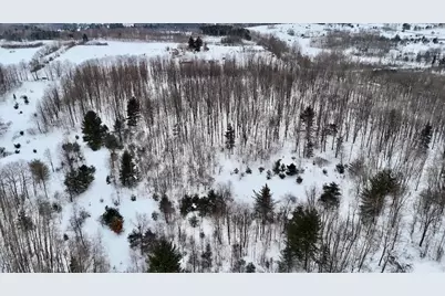 V/L 17 Mile Rd, Leroy, MI 49655 - Photo 23