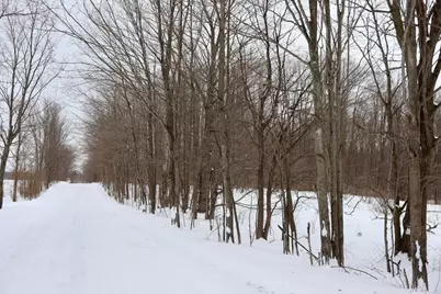 V/L 17 Mile Rd, Leroy, MI 49655 - Photo 45