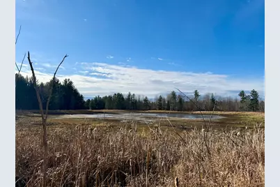 V/L 17 Mile Rd, Leroy, MI 49655 - Photo 19