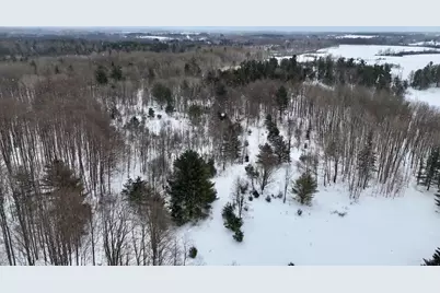 V/L 17 Mile Rd, Leroy, MI 49655 - Photo 13