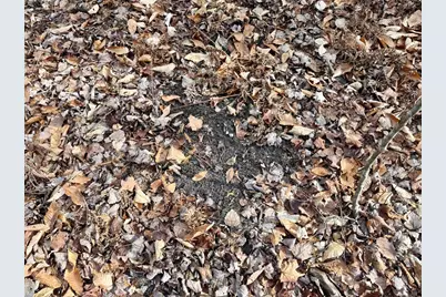 V/L 17 Mile Rd, Leroy, MI 49655 - Photo 37