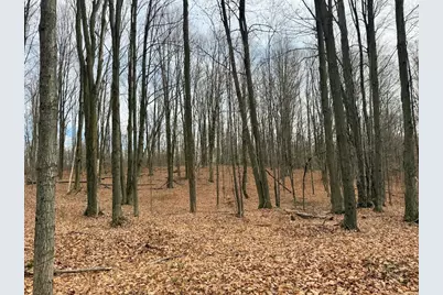 V/L 17 Mile Rd, Leroy, MI 49655 - Photo 29