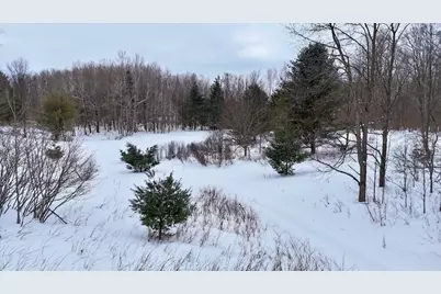 V/L 17 Mile Rd, Leroy, MI 49655 - Photo 43