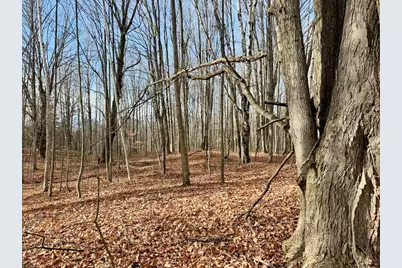 V/L 17 Mile Rd, Leroy, MI 49655 - Photo 31
