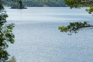 1 Ramsey Island, Michigamme, MI 49861 - Photo 47