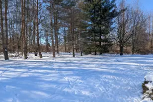 4464 Fisher Estates Ln, Bruce, MI 48065 - Photo 17