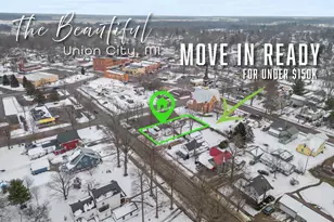 203 Charlotte St, Union City, MI 49094 - Photo 3