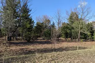 Jussi St, Kaleva, MI 49645 - Photo 1