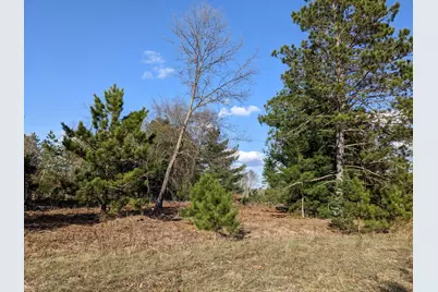 Jussi Street, Kaleva, MI 49645 - Photo 9