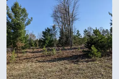 Jussi Street, Kaleva, MI 49645 - Photo 5