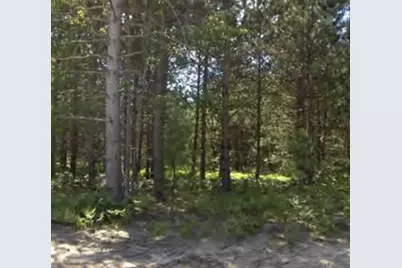 Bergstrom Drive, Kaleva, MI 49645 - Photo 1