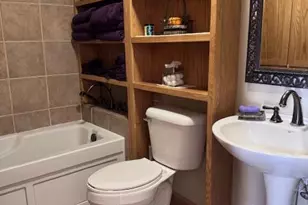 275 Negaunee Lake Dr, Evart, MI 49631 - Photo 35