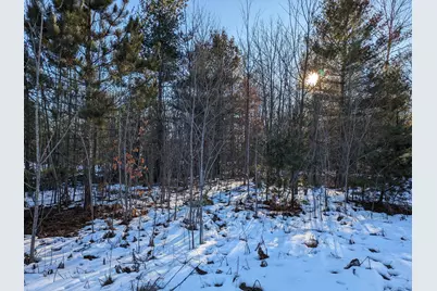 Bergstrom Drive, Kaleva, MI 49645 - Photo 1
