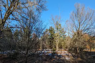 Louhi St, Kaleva, MI 49645 - Photo 1